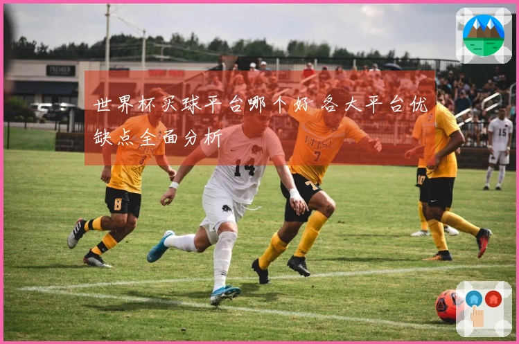 世界杯买球平台哪个好 各大平台优缺点全面分析