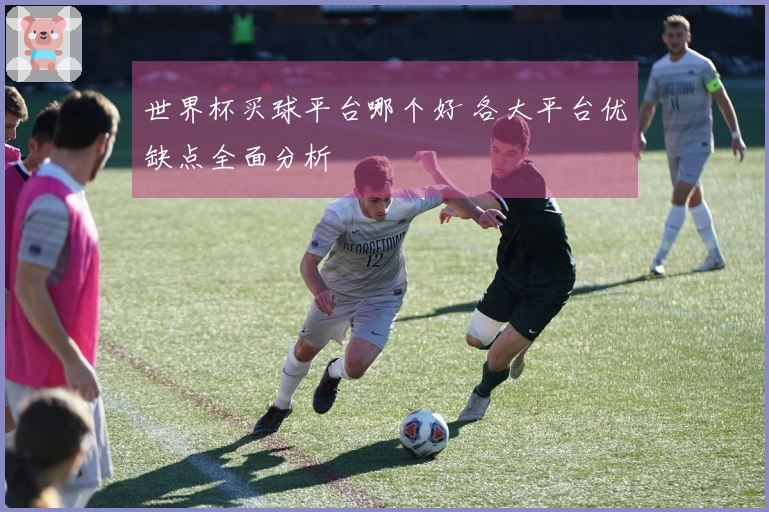 世界杯买球平台哪个好 各大平台优缺点全面分析